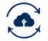Disaster Recovery Icon